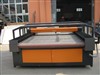 Auto Feeding Leather Laser Cutter